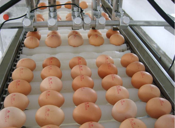 �u�����a�C(j��)